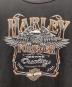 HARLEY-DAVIDSONの古着・服飾アイテム：5000円