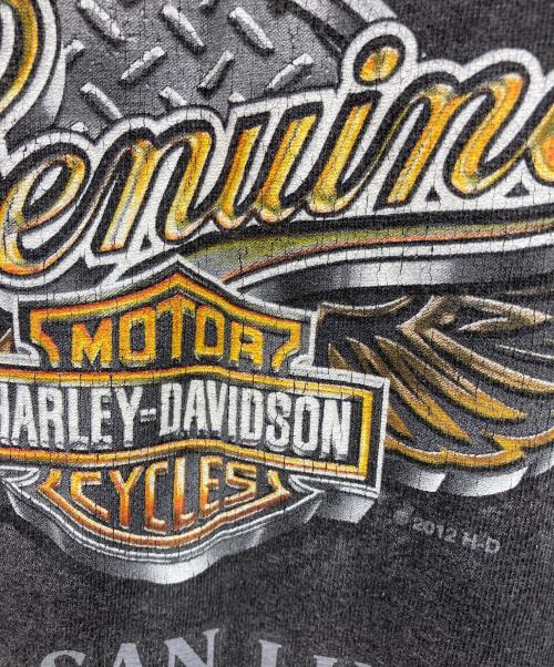 HARLEY-DAVIDSON（ハーレーダビッドソン）HARLEY-DAVIDSON (ハーレーダビッドソン) Tシャツ ブラック サイズ:X-LARGEの古着・服飾アイテム