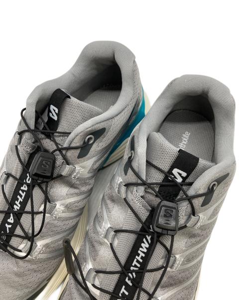 SALOMON（サロモン）SALOMON (サロモン)  XT-PATHWAY 2  シルバー サイズ:24.5の古着・服飾アイテム