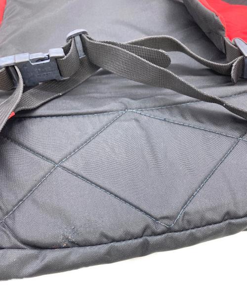 chouinard dragon（シュイナード ドラゴン）chouinard dragon (シュイナード ドラゴン) リュック レッドの古着・服飾アイテム