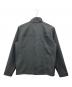 THE NORTH FACE (ザ ノース フェイス) Apex Bionic Jacket グレー サイズ:L：8000円