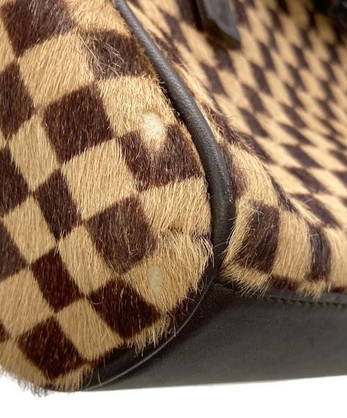 LOUIS VUITTON（ルイ ヴィトン）LOUIS VUITTON (ルイ ヴィトン) ダミエ・ソバージュ ライオン ブラウンの古着・服飾アイテム