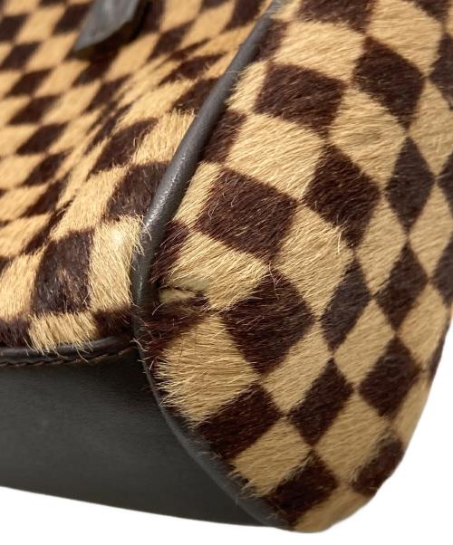 LOUIS VUITTON（ルイ ヴィトン）LOUIS VUITTON (ルイ ヴィトン) ダミエ・ソバージュ ライオン ブラウンの古着・服飾アイテム