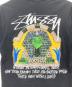 中古・古着 stussy (ステューシー) SPHINX TEE ブラック サイズ:S：5000円