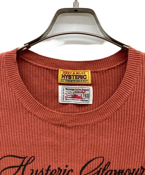 Hysteric Glamour（ヒステリックグラマー）Hysteric Glamour (ヒステリックグラマー) リブニットワンピース ブラウン サイズ:FREEの古着・服飾アイテム