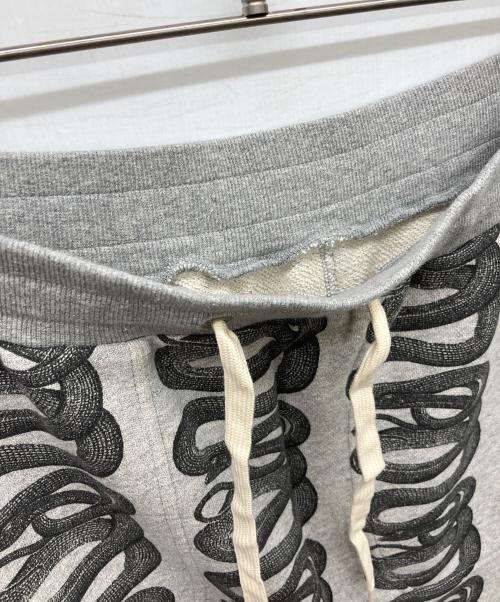 Hysteric Glamour（ヒステリックグラマー）Hysteric Glamour (ヒステリックグラマー) SNAKE LOOP柄 ロングスカート グレー サイズ:FREEの古着・服飾アイテム