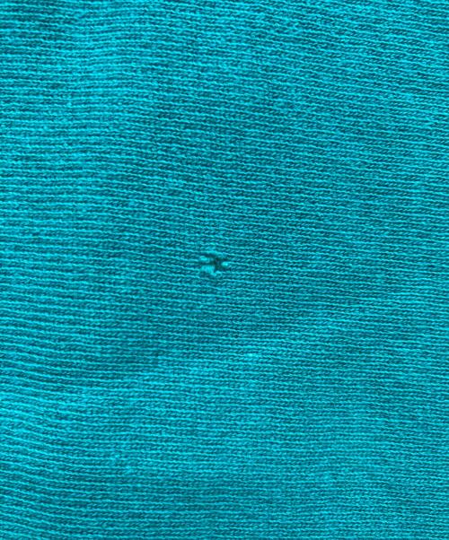 Champion REVERSE WEAVE（チャンピオン リバース ウィーブ）Champion REVERSE WEAVE (チャンピオン リバース ウィーブ) リバースウィーブスウェット スカイブルー サイズ:不明の古着・服飾アイテム