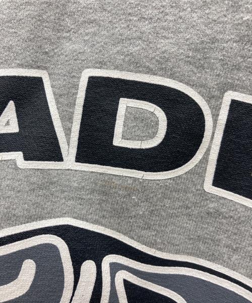 A BATHING APE（ア ベイシング エイプ）A BATHING APE (ア ベイシング エイプ) ジップパーカー グレー サイズ:Lの古着・服飾アイテム