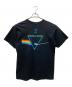 anvil (アンヴィル) 00sバンドTシャツ Dark Side Of Moon 狂気 ブラック サイズ:L：8000円