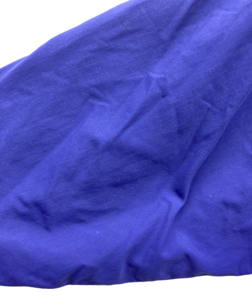 Patagonia（パタゴニア）Patagonia (パタゴニア) 90s ソフトシェルキャプリーンジャケット 雪無しタグ パープル サイズ:Lの古着・服飾アイテム