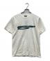 stussy（ステューシー）の古着「STRETCH PIG DYED TEE」｜ホワイト