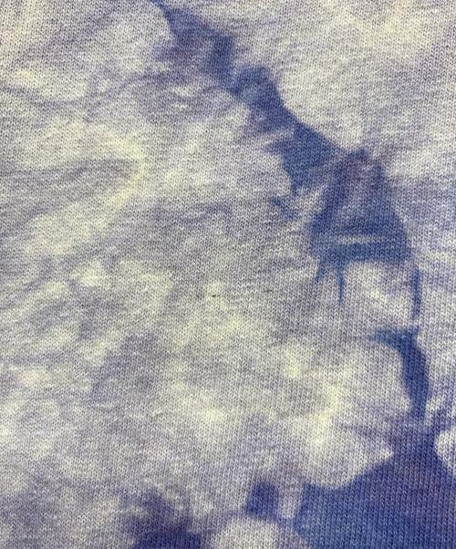 anvil（アンヴィル）anvil (アンヴィル) 半袖Tシャツ パープル サイズ:Mの古着・服飾アイテム