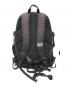 THE NORTH FACE (ザ ノース フェイス) BORDER SHOT グレー：6000円
