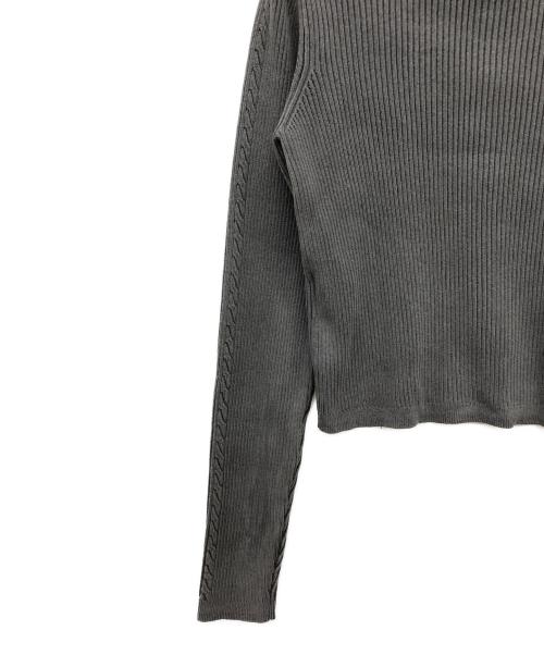 Hysteric Glamour（ヒステリックグラマー）Hysteric Glamour (ヒステリックグラマー) THE NEW HYS Cropped Jersery グレー サイズ:FREEの古着・服飾アイテム