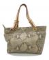 MICHAEL KORS (マイケルコース) パイソン柄ハンドバッグ ベージュ：7000円