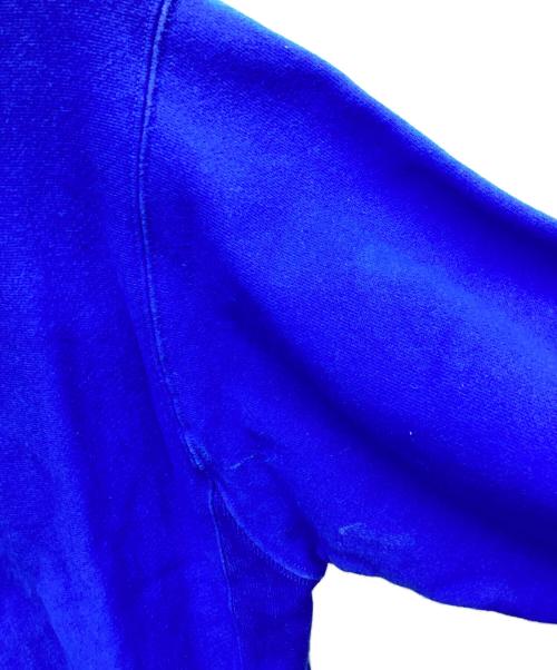 Champion REVERSE WEAVE（チャンピオン リバース ウィーブ）Champion REVERSE WEAVE (チャンピオン リバース ウィーブ) プリントパーカー ブルー サイズ:Lの古着・服飾アイテム