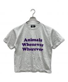 studio animals（スタジオ アニマルズ）の古着「Whatever Whenever T-Shirt」｜グレー