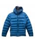 Patagonia（パタゴニア）の古着「ハイロフトダウンフーディ」｜ブルー