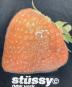 中古・古着 stussy (ステューシー) STRAWBERRY TEE ブラック サイズ:L：6000円