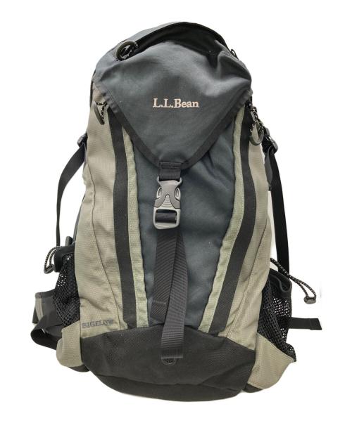 L.L.Bean（エルエルビーン）L.L.Bean (エルエルビーン) バックパック グリーン×ブラックの古着・服飾アイテム