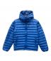 Patagonia（パタゴニア）の古着「Down Sweater Full-Zip Hoody」｜ブルー