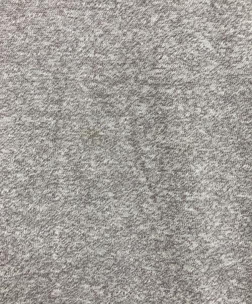 Champion（チャンピオン）Champion (チャンピオン) プリントカットソー グレー サイズ:LARGEの古着・服飾アイテム