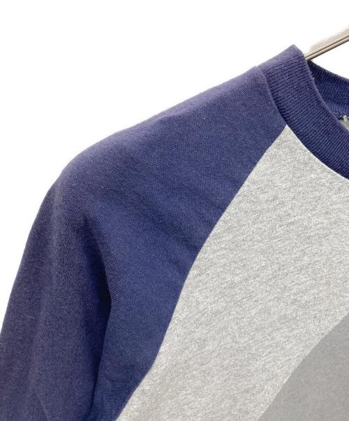 stussy（ステューシー）stussy (ステューシー) スカルプリントラグランTシャツ グレー サイズ:Lの古着・服飾アイテム