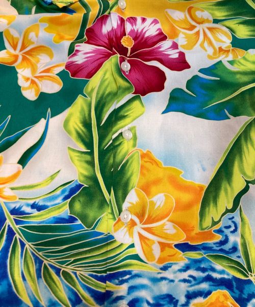 POLO RALPH LAUREN（ポロ・ラルフローレン）POLO RALPH LAUREN (ポロ・ラルフローレン) アロハシャツ グリーン サイズ:Lの古着・服飾アイテム