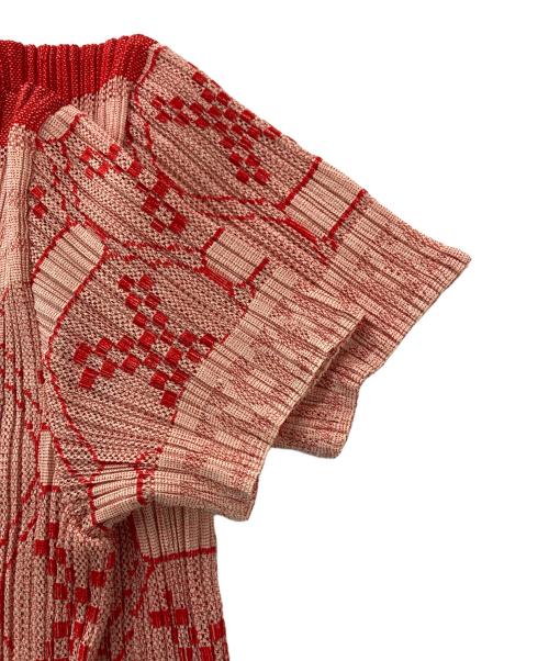 PLEATS PLEASE（プリーツプリーズ）PLEATS PLEASE (プリーツプリーズ) プリーツカットソー レッド×ベージュ サイズ:3の古着・服飾アイテム