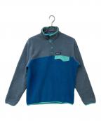 Patagoniaパタゴニア）の古着「Lightweight Synchilla Snap-T Pullover」｜ブルー