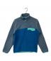 Patagonia（パタゴニア）の古着「Lightweight Synchilla Snap-T Pullover」｜ブルー