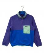 Patagoniaパタゴニア）の古着「Microdini 1/2-Zip Pullove」｜ブルー