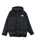 THE NORTH FACEザ ノース フェイス）の古着「Mountain Down Jacket」｜ブラック