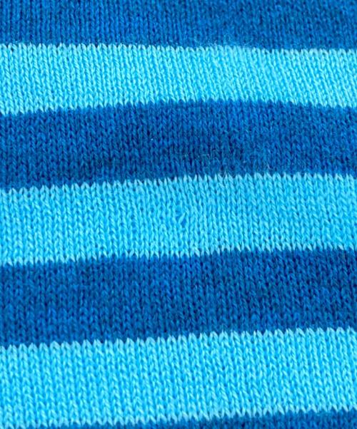 JOHN SMEDLEY（ジョンスメドレー）JOHN SMEDLEY (ジョンスメドレー) ボーダーニットポロシャツ ブルー サイズ:Ｍの古着・服飾アイテム