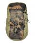 THE NORTH FACE（ザ ノース フェイス）の古着「jester リュック」｜カーキ