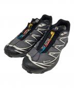SALOMONサロモン）の古着「XT-6 GTX」｜グレー