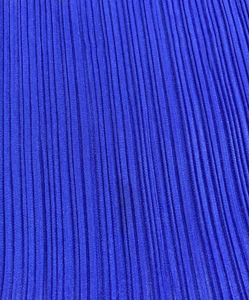 PLEATS PLEASE（プリーツプリーズ）PLEATS PLEASE (プリーツプリーズ) プリーツスカート ブルー サイズ:2の古着・服飾アイテム