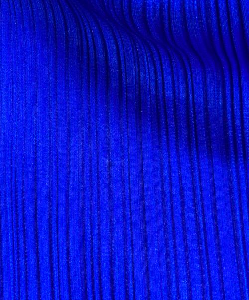 PLEATS PLEASE（プリーツプリーズ）PLEATS PLEASE (プリーツプリーズ) プリーツスカート ブルー サイズ:2の古着・服飾アイテム