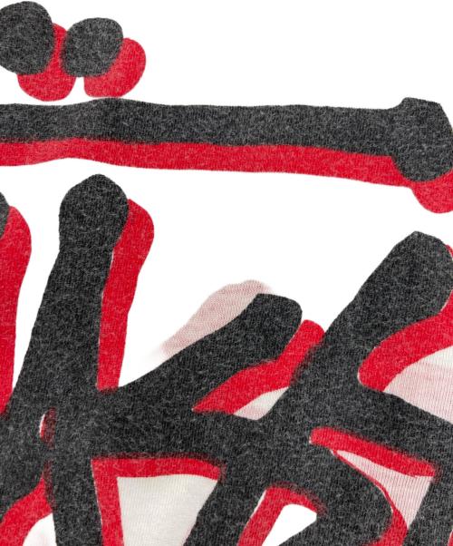 stussy（ステューシー）stussy (ステューシー) 00's world tour ラグランカットソー レッド×ホワイト サイズ:XLの古着・服飾アイテム