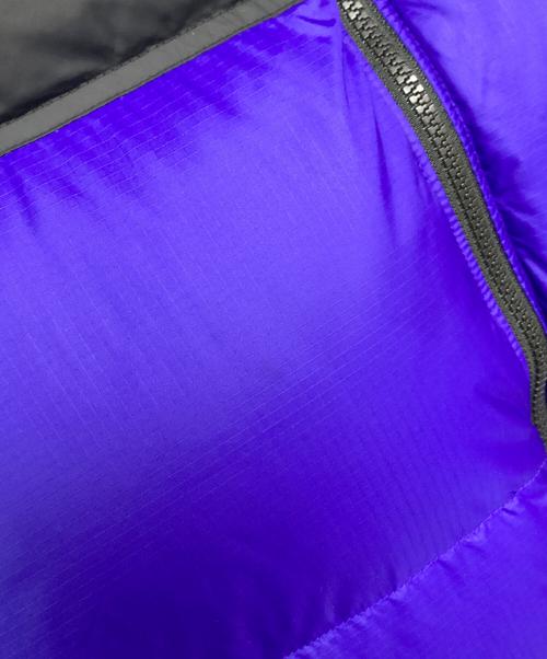 THE NORTH FACE（ザ ノース フェイス）THE NORTH FACE (ザ ノース フェイス) 1996 RETRO NUPTSE VEST / 1996 レトロヌプシベスト ブルー サイズ:Lの古着・服飾アイテム