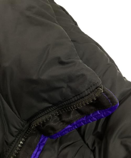 THE NORTH FACE（ザ ノース フェイス）THE NORTH FACE (ザ ノース フェイス) 1996 RETRO NUPTSE VEST / 1996 レトロヌプシベスト ブルー サイズ:Lの古着・服飾アイテム