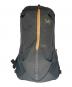 ARC'TERYX（アークテリクス）の古着「ARRO 22 BACKPACK」｜ブラック