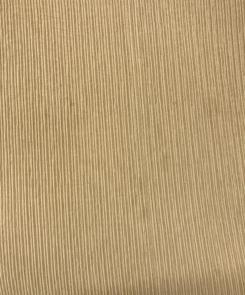 ISSEY MIYAKE（イッセイミヤケ）ISSEY MIYAKE (イッセイミヤケ) プリーツロングスカート ベージュ サイズ:１の古着・服飾アイテム