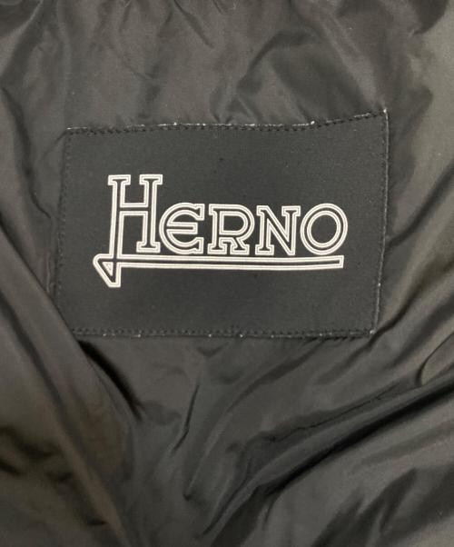 HERNO（ヘルノ）HERNO (ヘルノ) ダウンベスト ブルー サイズ:48の古着・服飾アイテム