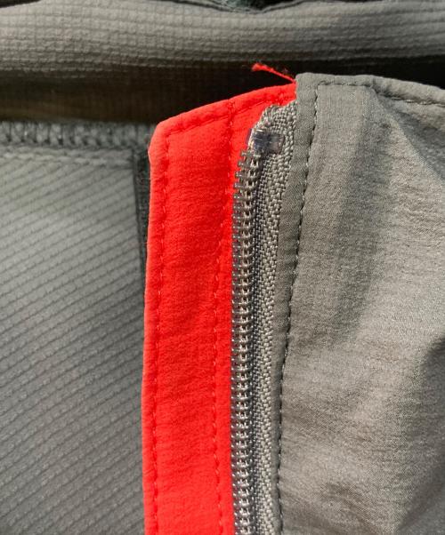 THE NORTH FACE（ザ ノース フェイス）THE NORTH FACE (ザ ノース フェイス) スワローテイルフーディ レッド サイズ:XLの古着・服飾アイテム