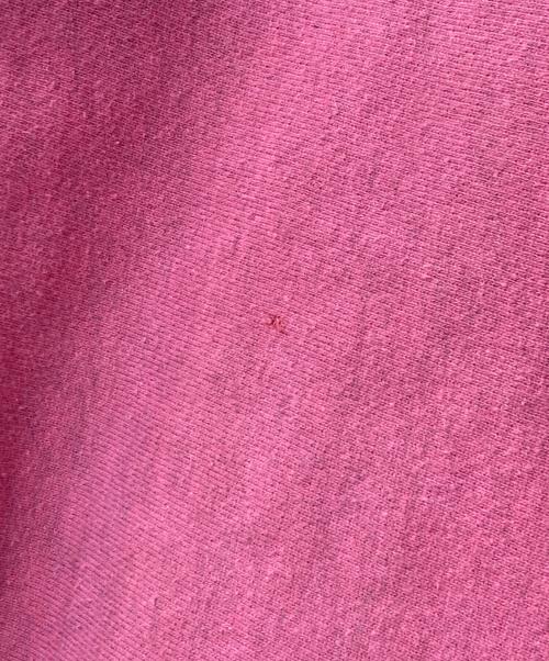 Champion REVERSE WEAVE（チャンピオン リバース ウィーブ）Champion REVERSE WEAVE (チャンピオン リバース ウィーブ) 90S CCSU プリントスウェット ピンク サイズ:XLの古着・服飾アイテム