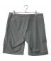 ARC'TERYX (アークテリクス) Gamma SL Short 11 グレー サイズ:34：10000円
