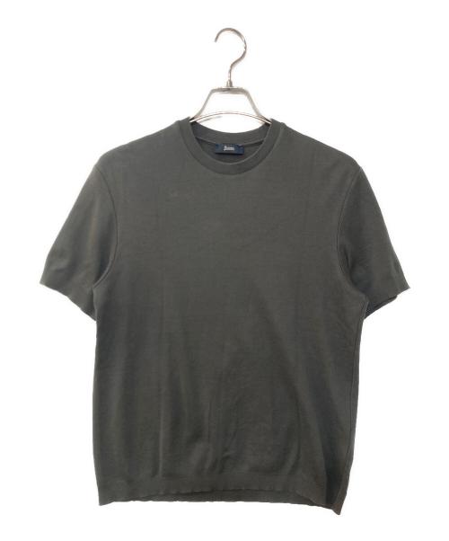 HERNO（ヘルノ）HERNO (ヘルノ) ニットTee グレー サイズ:46の古着・服飾アイテム