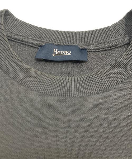 HERNO（ヘルノ）HERNO (ヘルノ) ニットTee グレー サイズ:46の古着・服飾アイテム