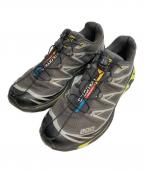 SALOMONサロモン）の古着「XT-6 Advanced アドバンスド」｜グレー